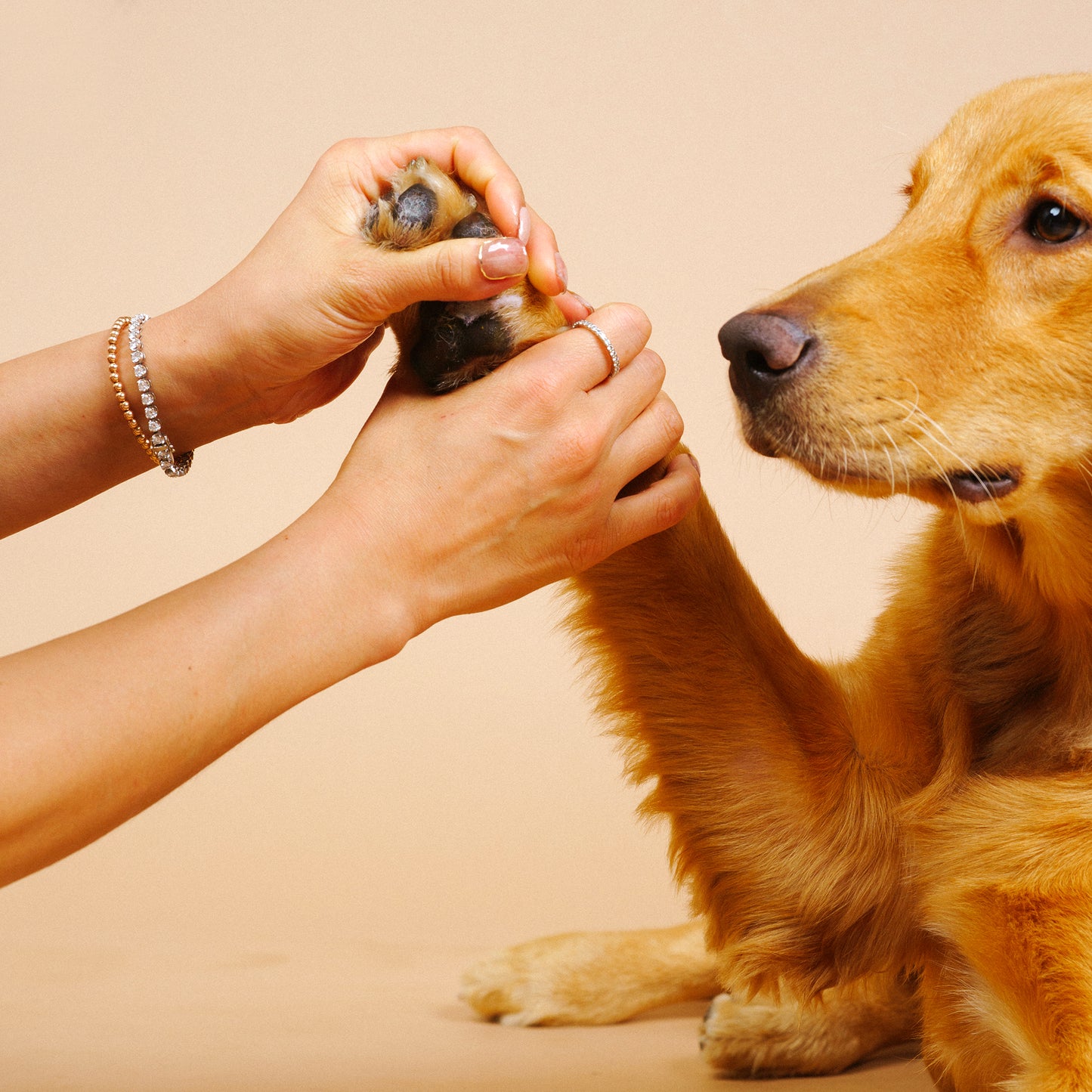 [Pet massage Oil] Dog&Cat - Mango oil, Vitamin E